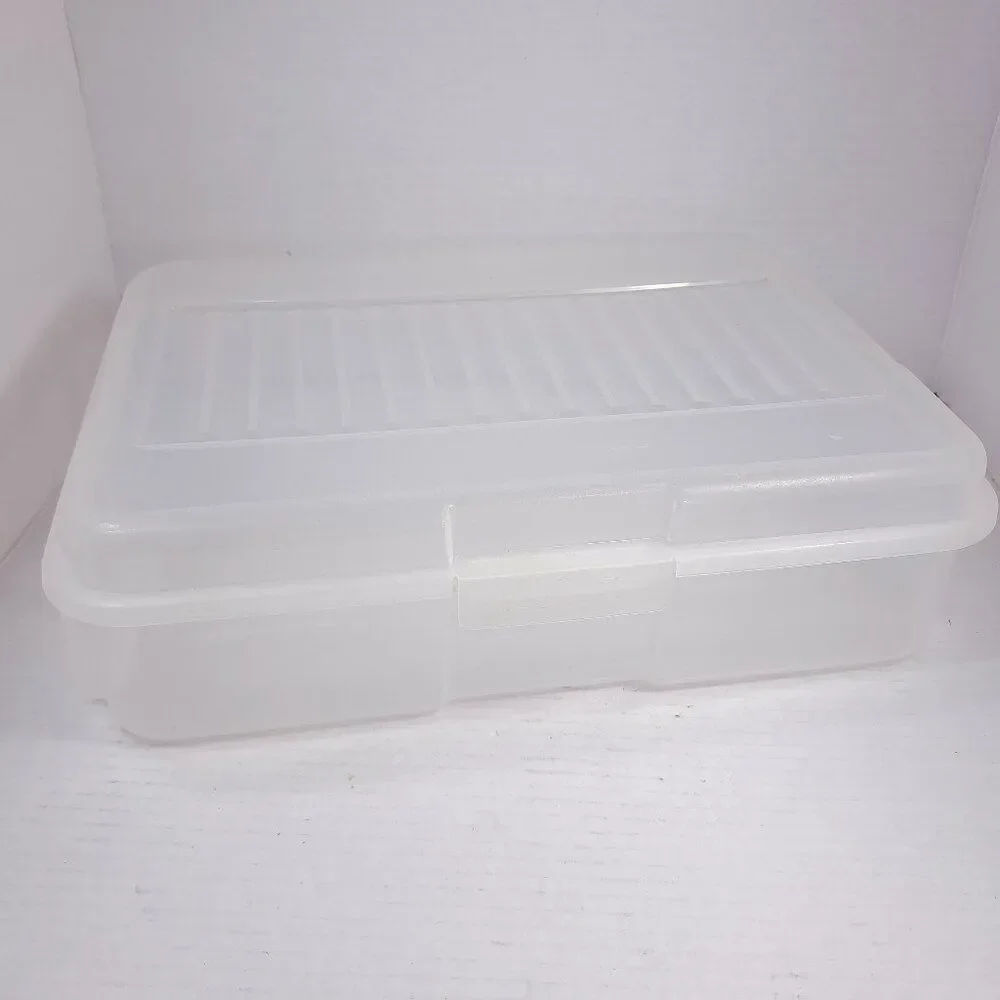 Vintage Rubbermaid Organizer Keepers‎ Snap Case 2282 51C clear plastic hinged